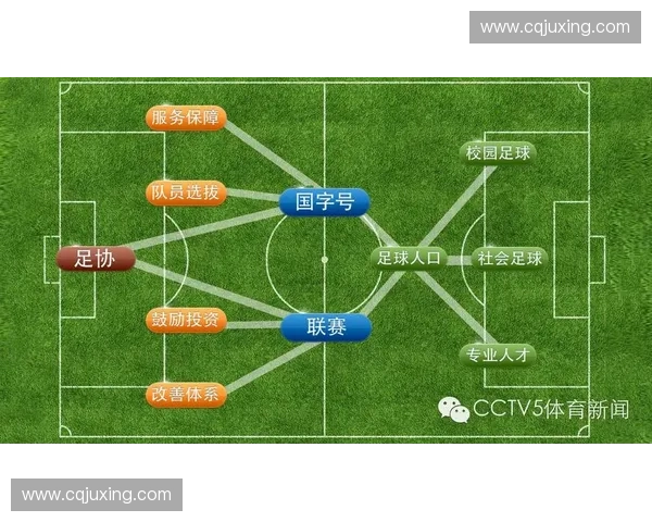 北京业余足球联赛发展现状与未来趋势分析探讨
